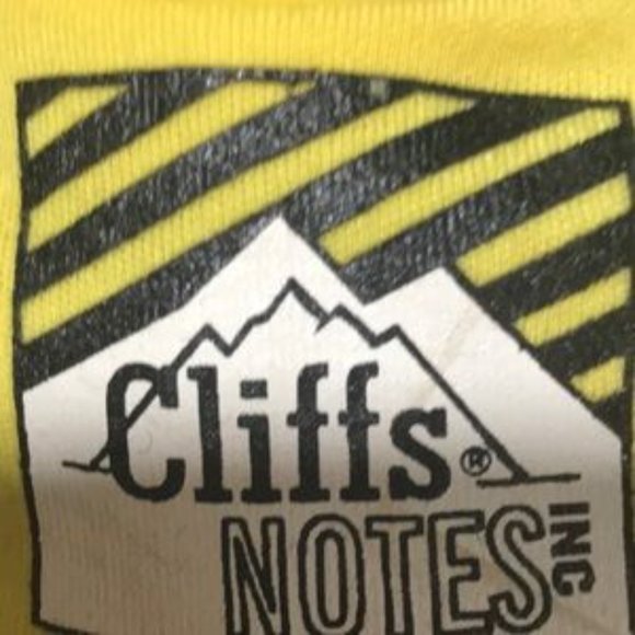 NWT & VTG 📌Cliffs Notes 1999 36th of Series Cliffs Notes Collector’s Teddy Bear - Picture 6 of 11